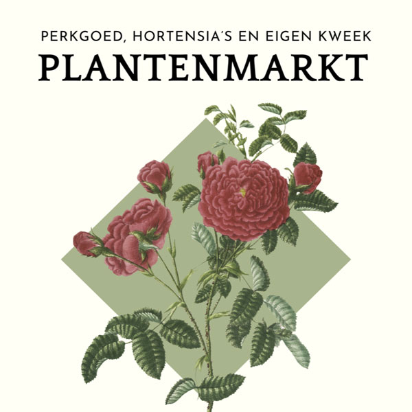 meimaandtip plantenmarkt